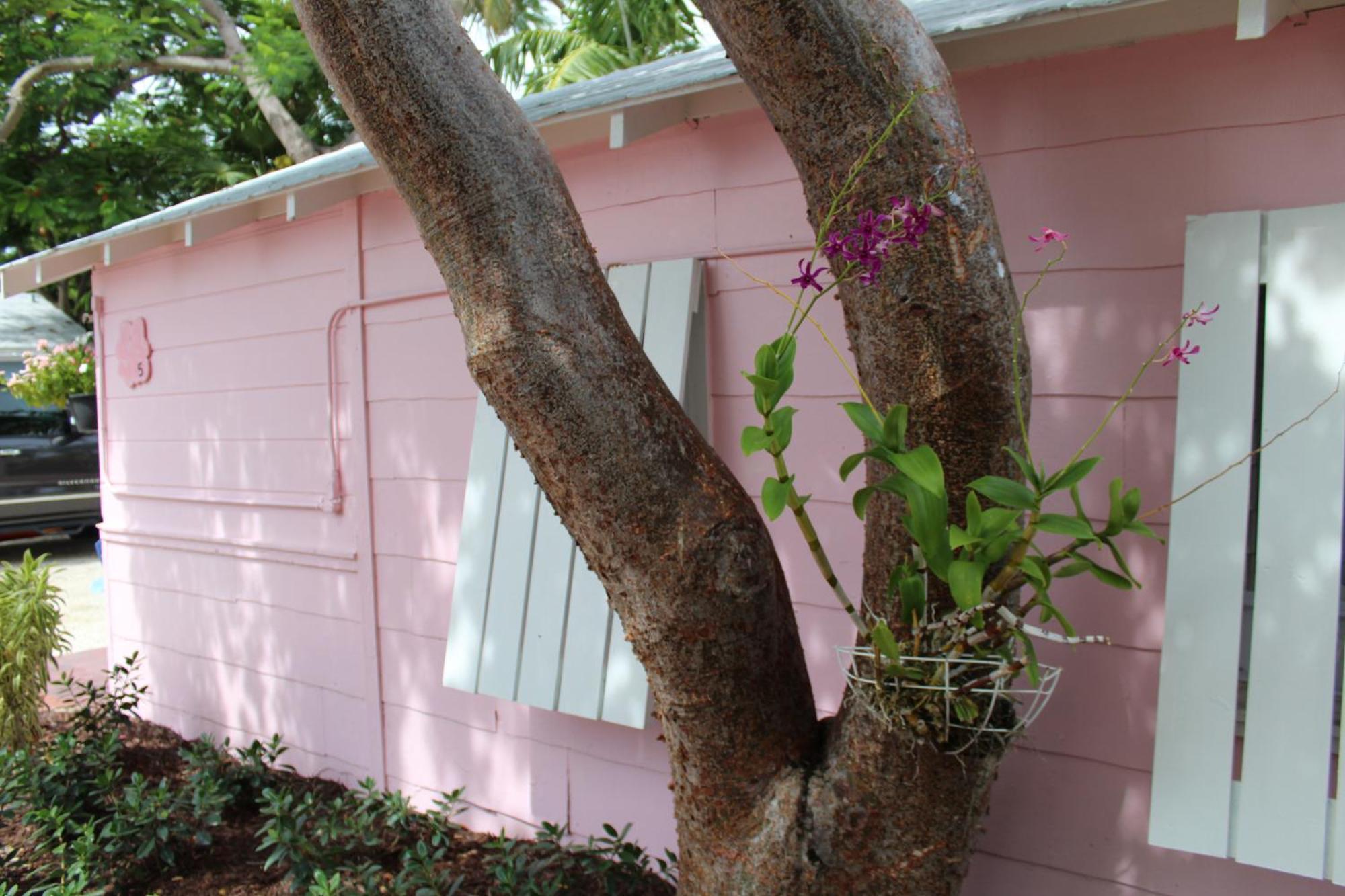 Tropical Cottages Marathon Zimmer foto